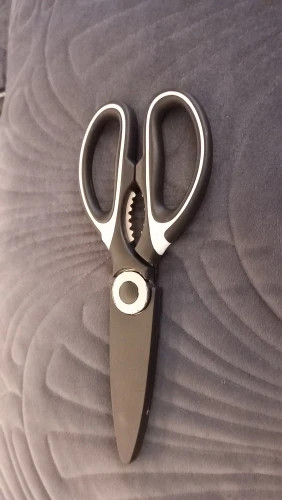 c8ef20ef 8db3 4879 8628 69c6dfaa7f9a.jpg