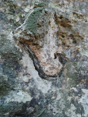 received 151113271428632.jpg