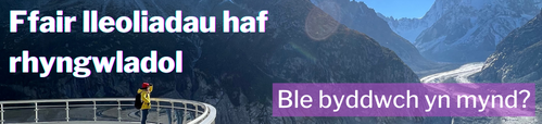 (Welsh) International summer placements fair.png