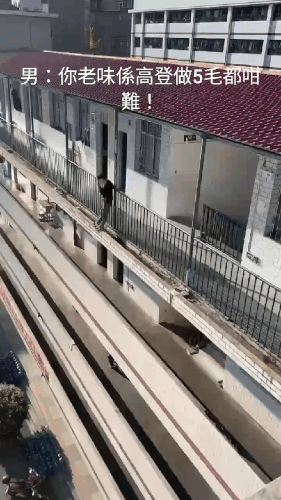 GIF 231206 163753.gif