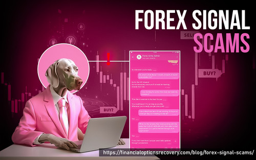 Have you lost your money in forex signal scam? then contact us.jpg