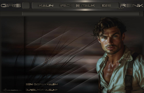 Bay Radyo Tema 140 liebefee13