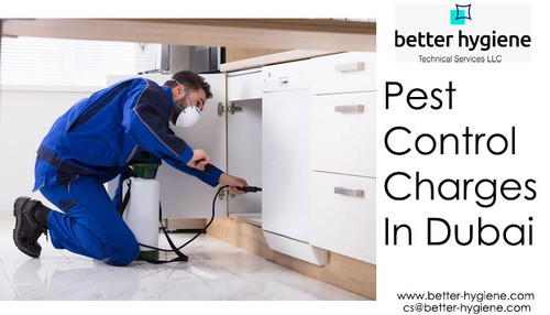 Pest control charges in Dubai.jpg