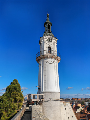 IMG 20240127 122640.jpg