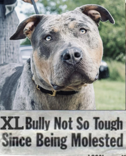 1706112721.783078 C7E90637 5620 48C1 AABF FF5A6349276C.jpg