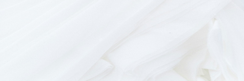 LightBG 600x200@2x.png