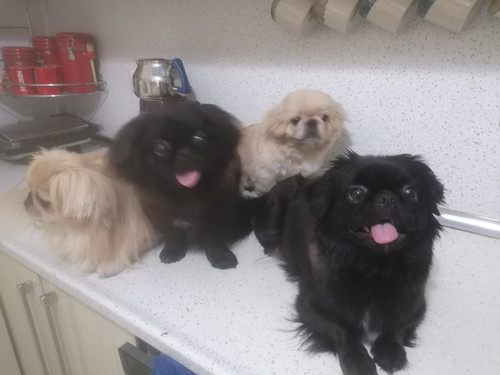 IMG 20230906 085647.jpg