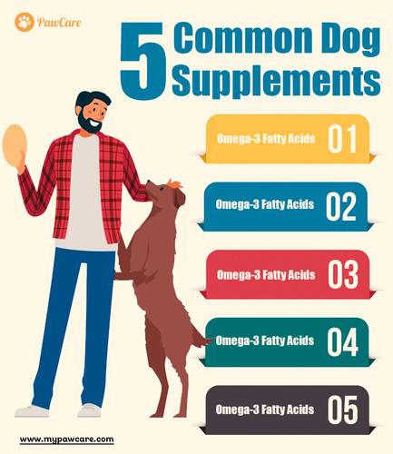 Five Common Dog Supplements.jpg