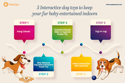 5 Interactive dog toys to keep your fur baby entertained indoors.jpg