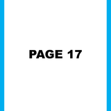 page17