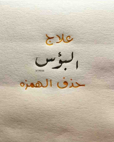 365CB521 2AEA 4B78 A0BD 4F9269C77E91.jpg