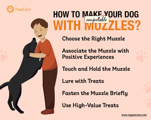 How to make your dog comfortable with muzzles.jpg