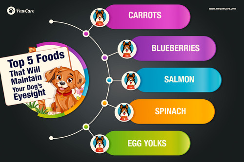 Top 5 Foods That Will Maintain Your Dog’s Eyesight.jpg