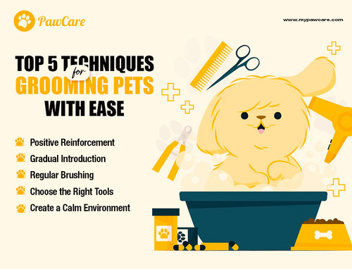 Top 5 Techniques for Grooming Pets with Ease.jpg