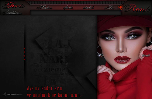 Bayan Radyo Tema 282 liebefee13