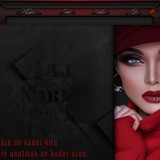 Bayan Radyo Tema 282 liebefee13