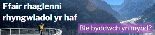 (Welsh) International summer placements fair.png