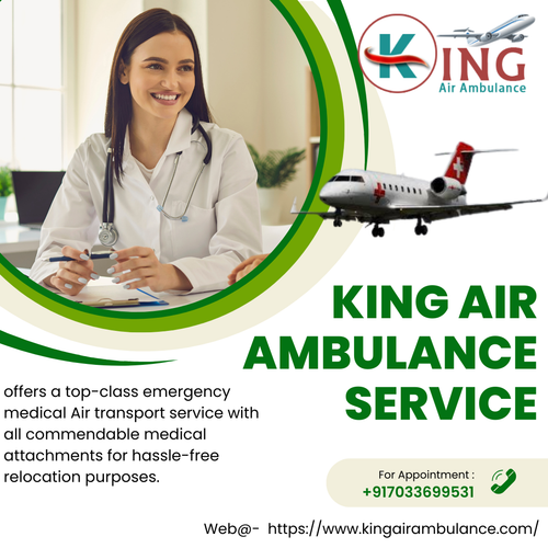 king air ambulance service (6).png