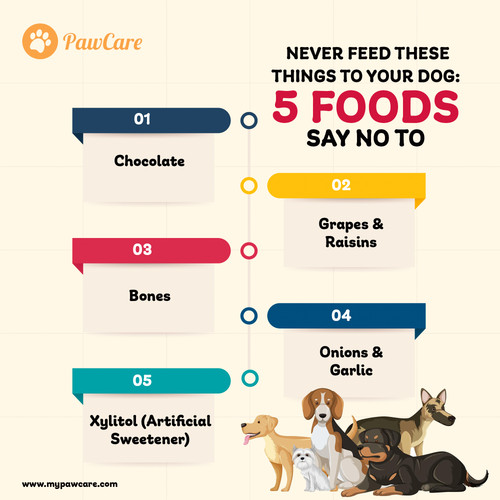 Never feed these things to your dog 5 Foods Say No To.jpg