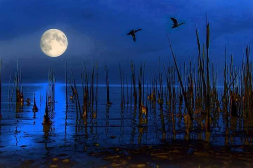 105551731 568009903896770 2364176476245106529 n.jpg