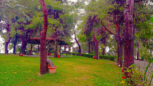 422806438 7223579054355818 2824394650625090457 n.jpg