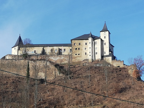 IMG 20240121 144634.jpg