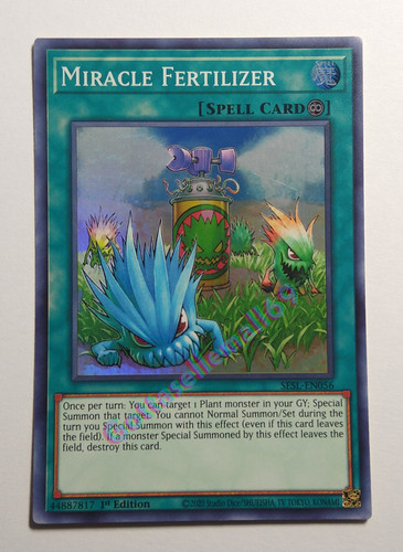 IMG 20240128 131058331.jpg