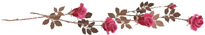 Rosen ori.gif
