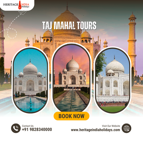 Taj Mahal Tours.png