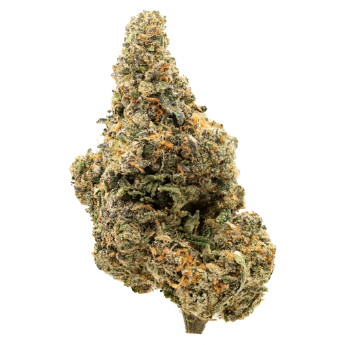 Biscotti Pancake.png