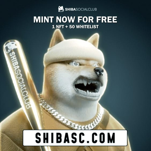 Shiba Social Club 2.jpg