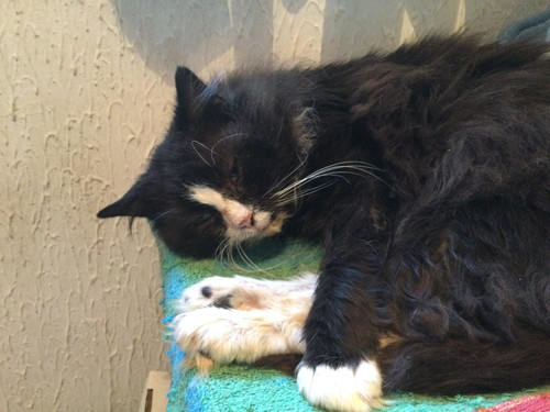 AEBC6662 A119 4553 87B1 0876262C6AAA.jpg