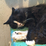 AEBC6662 A119 4553 87B1 0876262C6AAA