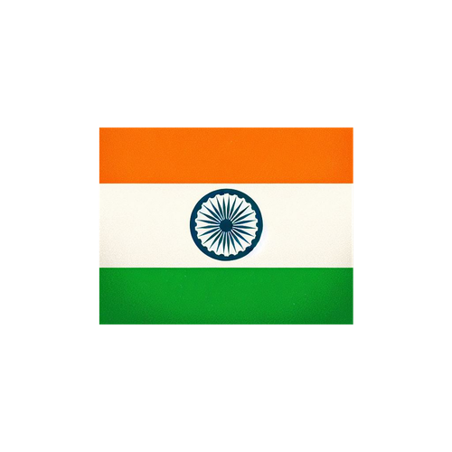indian flag.png