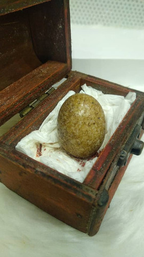 images%2Fimage 1706388597379.jpg