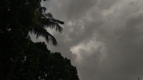 IMG 20220530 134805.jpg