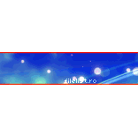 Christmas signFl01 b.gif