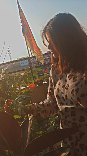 c2cafd4f 3849 4c4d 8cf0 d59c12ec5e83.jpg