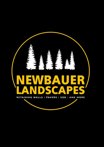 HD.EN.BLACK 1706485279966.jpg