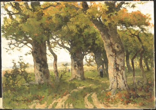 Bilders van Bosse, Maria Дубовая аллея в конце лета, 1900, 53,5 cm х 76 cm, Холст, масло