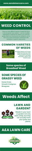About Weed Control Service in New Braunfels.jpg