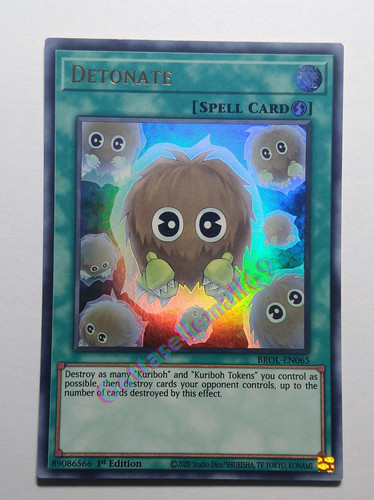 IMG 20240130 150628462.jpg