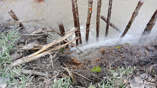 WhatsApp Image 2024 01 26 at 11.32.07 AM(1).jpg