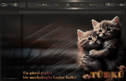 Kedi Radyo Tema 7 TÜRKÜ