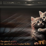 Kedi Radyo Tema 7 TÜRKÜ