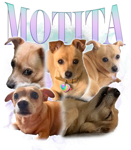 KN041220231820 Motita.png