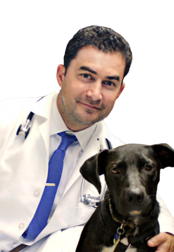 dr rob daniel PhotoRoom.png PhotoRoom.png