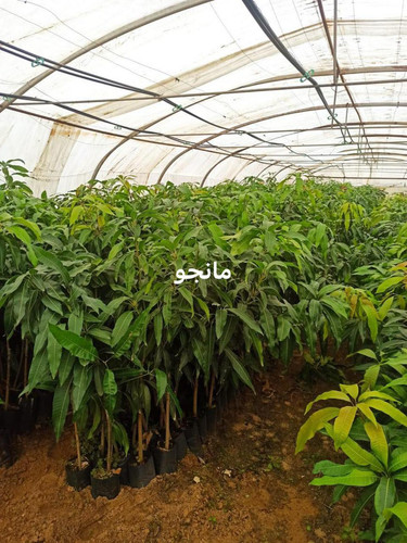 WhatsApp Image 2024 01 26 at 13.14.35 0ef5dc42.jpg