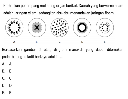 Cuplikan layar 2024 01 26 195610.png