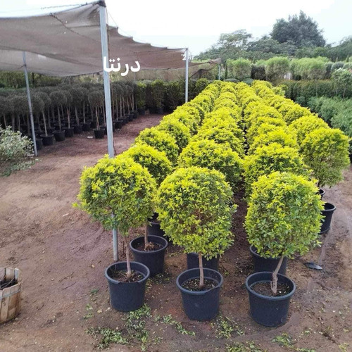 WhatsApp Image 2024 01 26 at 13.14.45 30d1bfda.jpg